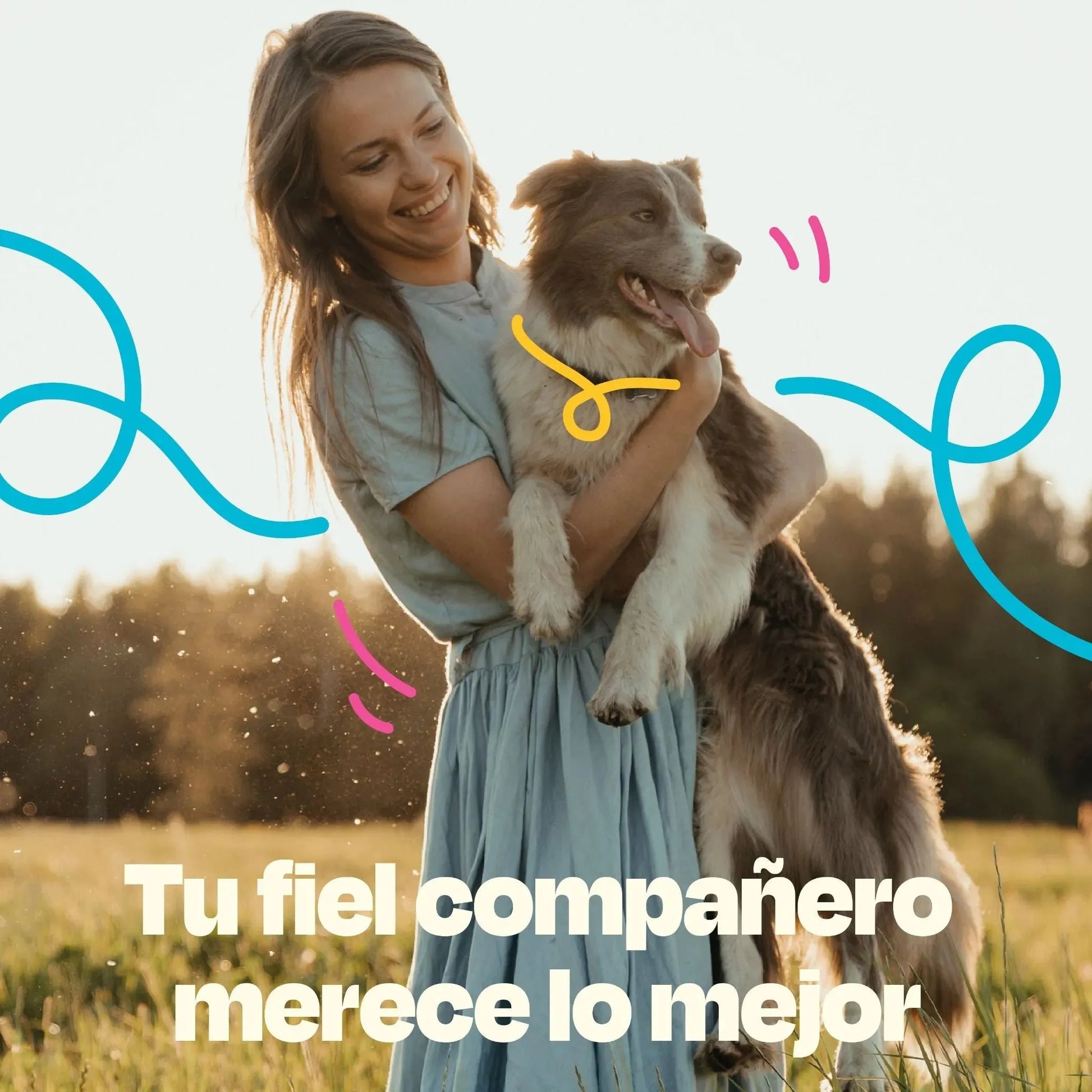Kit del Perro Sano