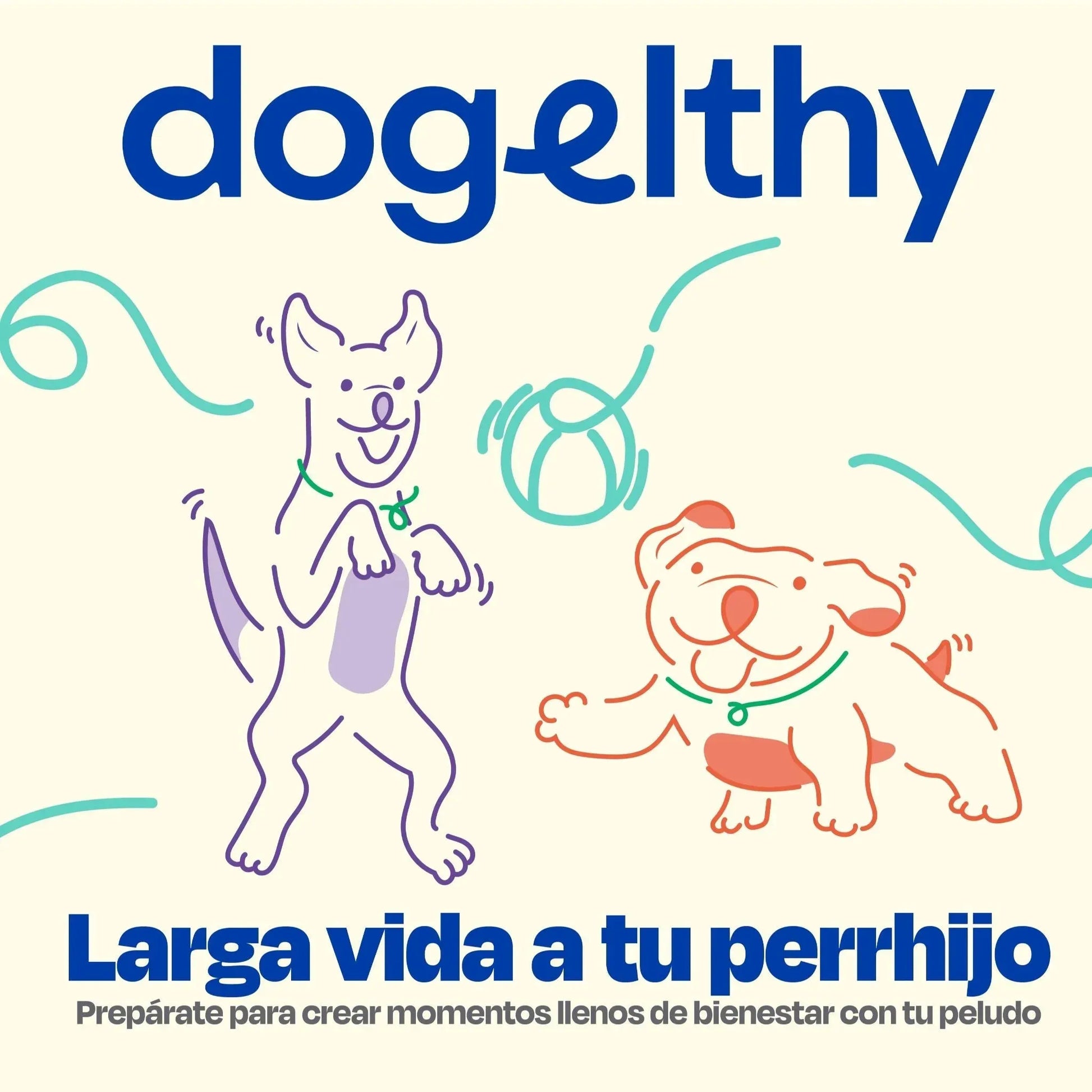 Kit del Perro Sano
